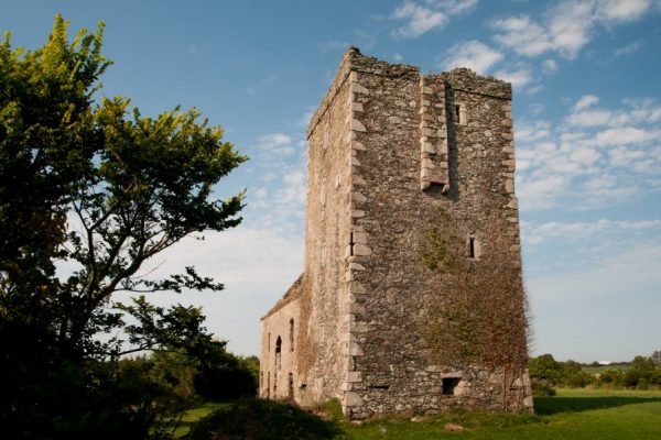 Sigginstown Castle is a tower house on the Norman Way in Wexford, Ireland.
